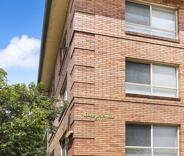 Central And Sunny One Bedroom Apartment - Photo 5