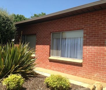 NEAT, TIDY & CENTRAL! - Photo 6