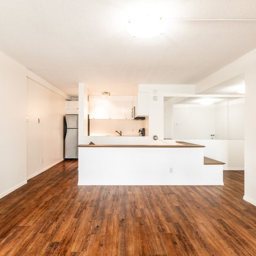 Appartement à louer, Montréal (Verdun/Île-des-Soeurs) - Photo 1
