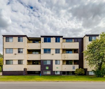2 Bedroom - Photo 3