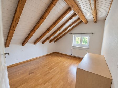 BEAUTIFUL CHARMING 4-ROOM APARTMENT WITH A VIEW OF THE SALÈVE - Foto 4