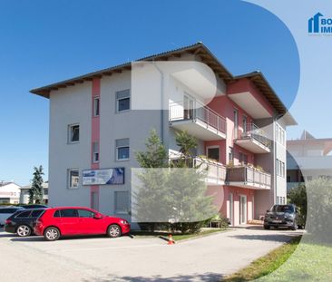 Knirps - Foto 5