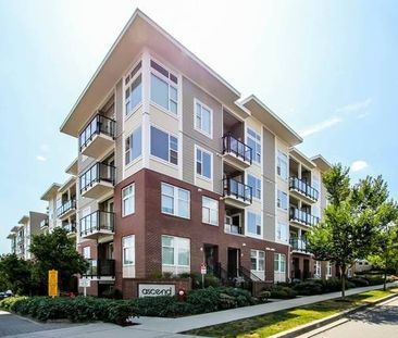 Beautiful North Facing Condo on the Top Floor - Photo 2