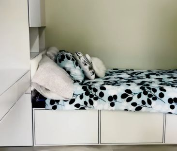 80 Botany St, Sydney - Photo 5