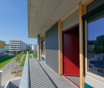 Rent a 2 rooms apartment in Schlieren - Foto 4
