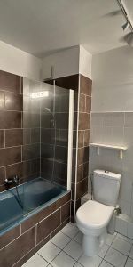 Location Appartement 1 pièce 26m² STRASBOURG 67000 - Photo 3