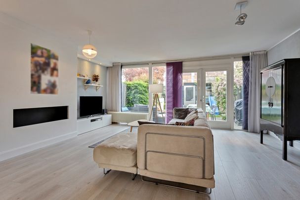 EINDHOVEN, Zandroos - Foto 1