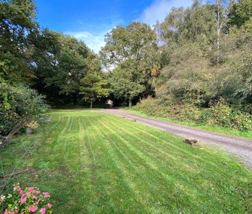 2 bedroom link detached house to rent - Photo 5