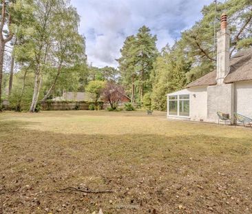 2 bedroom detached bungalow to rent - Photo 6