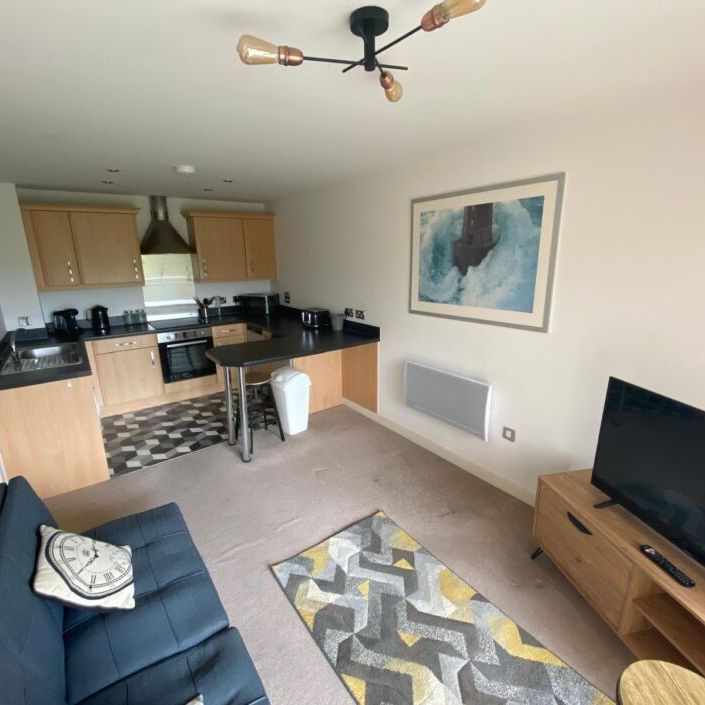 Neptune Apartments, Swansea, SA1 - Photo 1