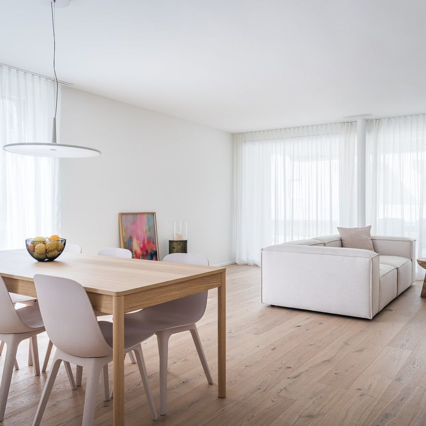 Exklusive möblierte Haushälfte mit Garten in Luzern - Foto 1