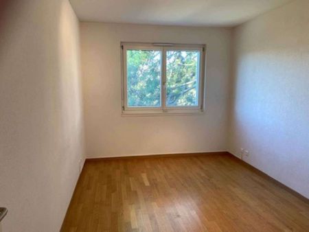 Magnifique appartement de 7 pièces en attique avec terrasse au Grand-Lancy - Photo 4