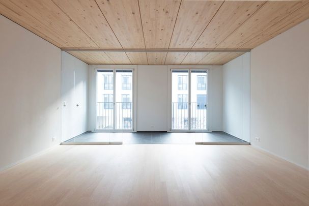 2.5 Zimmer, 61 m², 1. Stock - Foto 1