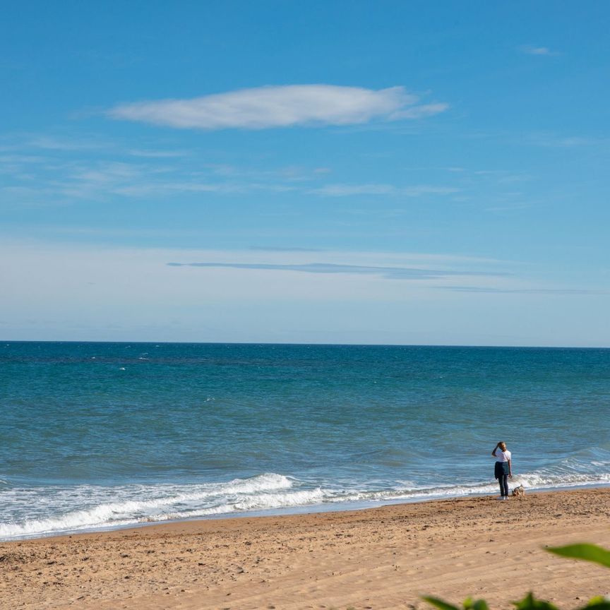 Piso de alquiler en Carrer Passarell, 4, El Palmar - Los Molinos - Photo 1