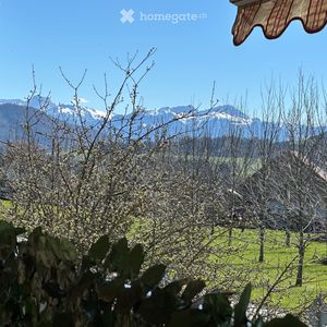 3 Zimmer, 70 m² - Photo 2