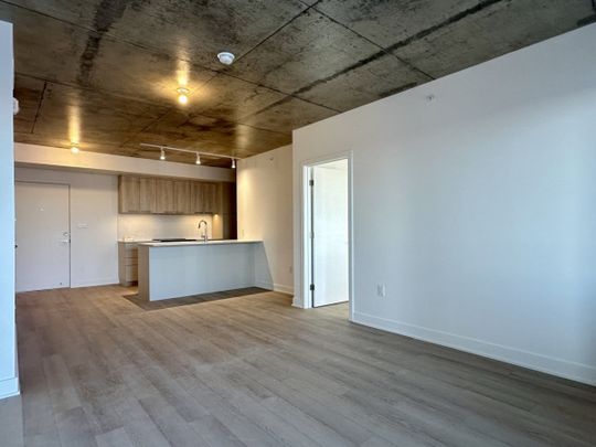 30 Avenue Joseph Lafléche, #502 - Photo 1