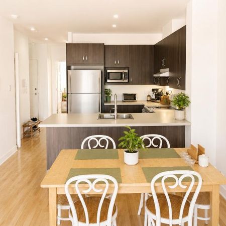 3 1/2 - Montréal (La Petite-Patrie) - 1 500 $/mois - Photo 3