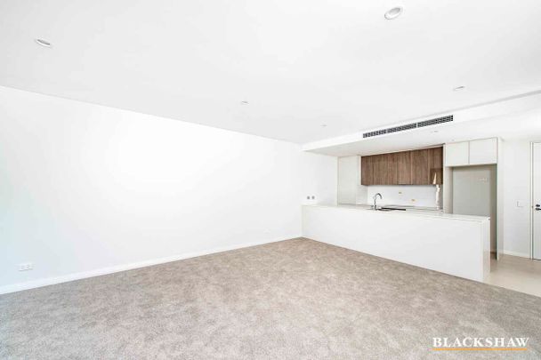 Immaculate Two Bedroom Apartment in the Governor Place Building - Photo 1