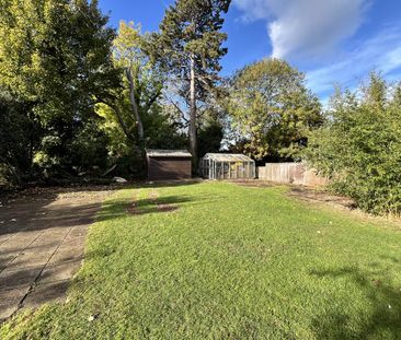 3 bedroom detached house to rent - Photo 3