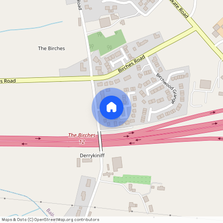 2 Birchwood Manor, Portadown, BT62 1LD