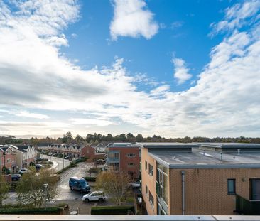 Rosanule Phoenix Park Racecourse, Castleknock, Dublin 15 - Photo 4