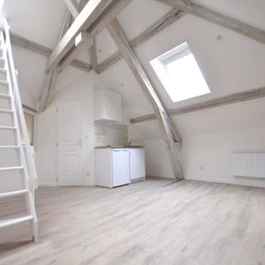 Location Appartement 1 pièce 16m² DIJON 21000 - Photo 3