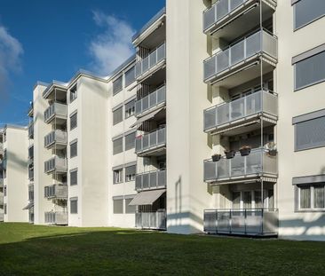 Sunny and quiet - Photo 3