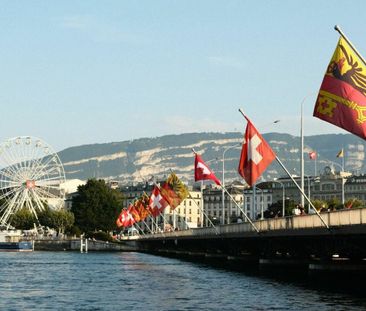 Short term rental in central Geneva - Foto 1