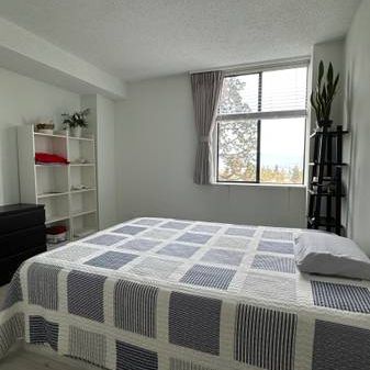 2 Bed 1Bath Near Metrotown - Photo 3