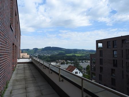 Moderne Wohnung mit grosser Terrasse - Photo 2