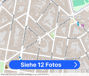 Knus 3 slaapkamer appartement te huur in de Leffingestraat te Ooste... - Foto 1