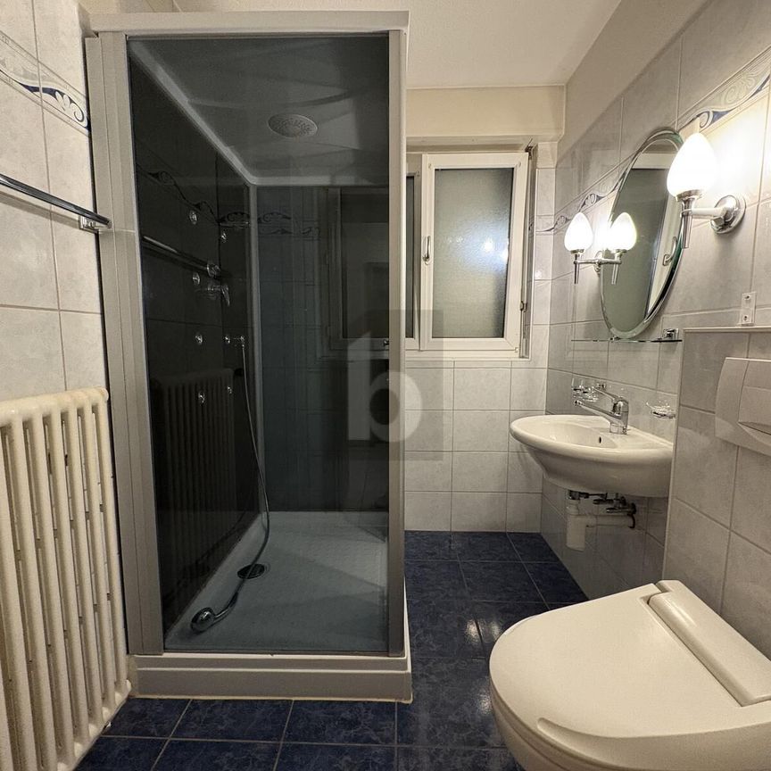 A LIGHT WELFARE PARADISE IN THE CITY - Photo 1