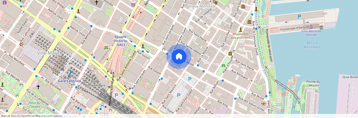 699 Rue St Maurice #203, Ville-Marie, Ville-Marie, Ile de Montréal, H2Y 2H2