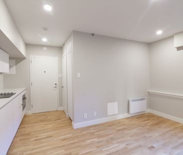 3455 Rue Aylmer - Photo 3