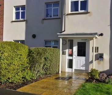 Livingston House, Thursby Walk, Exeter, EX4 - Photo 6