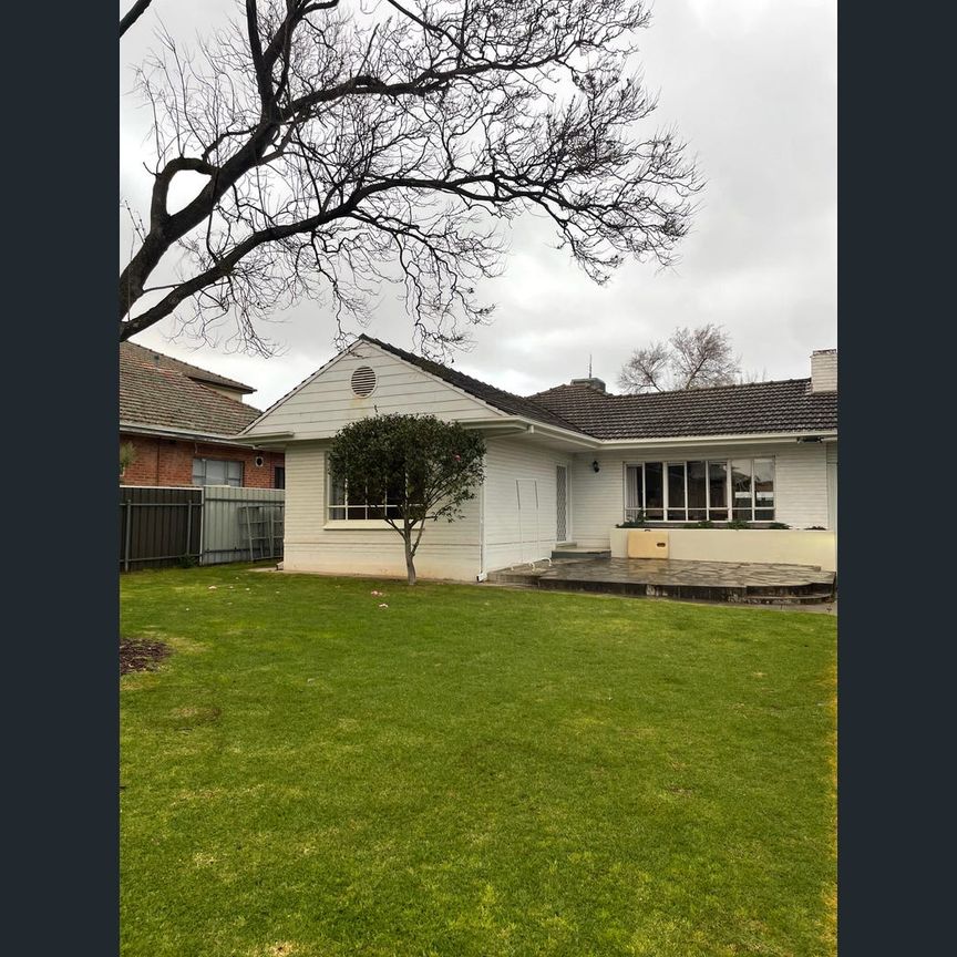 464 Magill Road, Kensington Gardens, SA 5068 - Photo 1