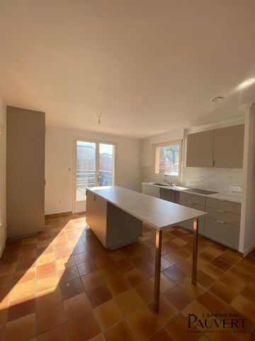 Grand appartement T4 de 130 m2 au 1er étage avec terrasse - Photo 4