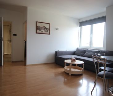 mieszkanie na wynajem Szczecin Śródmieście-Centrum - Photo 5