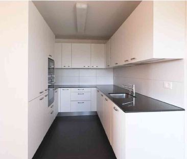 3.5 Zimmer, 74 m², 7. Stock - Photo 6