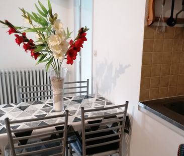 Location Appartement 1 pièce 31m² CHAZAY D AZERGUES 69380 - Photo 4
