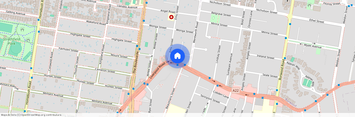 235 Liverpool Road, Strathfield NSW 2135