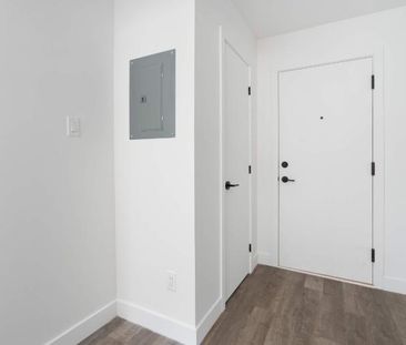 1 CH - 1 SDB - Montréal - $1,395 /mo - Photo 3