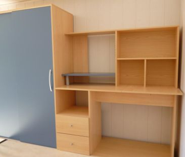 Location Appartement 1 pièce 25m² ONNION 74490 - Photo 2