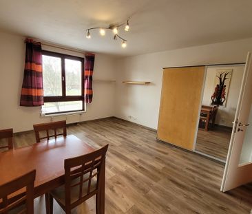 Pronájem bytu 1+kk v osobním vlastnictví 33 m², Beroun - Photo 1