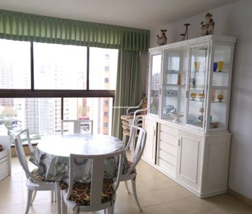 Benidorm Levante Winter let - Photo 5