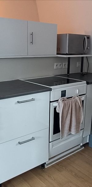 T1 - 35m² - proche Parc du Hautmont - Photo 1