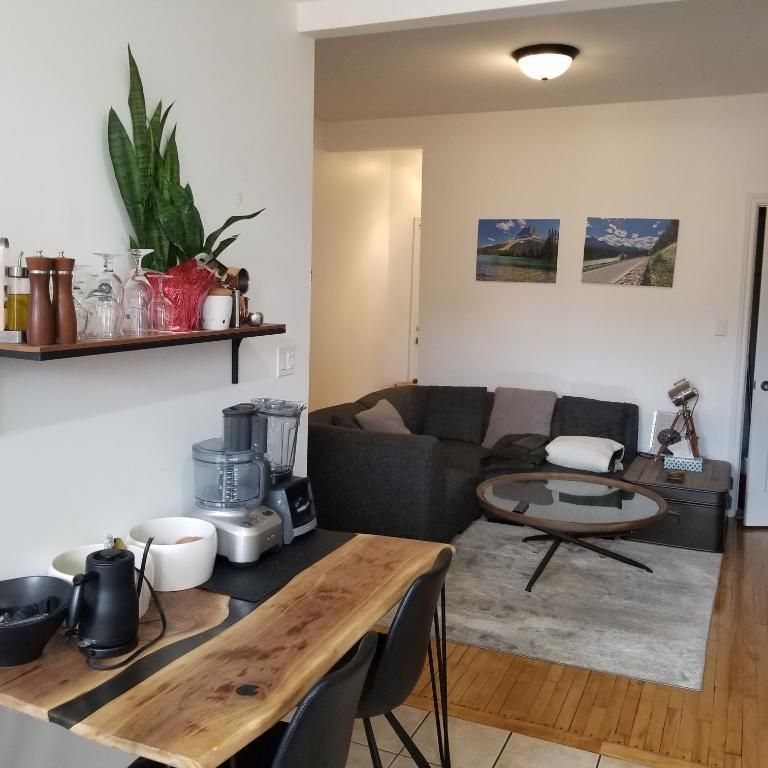 Beau logement 4½ rénové récemment, dans Rosemont-La-Petite-Patrie, près de la piste cyclable et du Plateau Mont-Royal - Photo 1