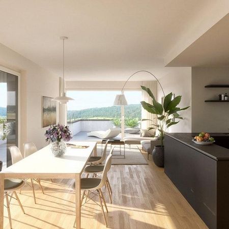 ERSTVERMIETUNG! Neubau-Mietwohnungen im Terrassenhaus in Sissach! - Foto 3