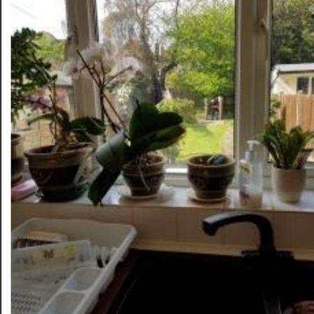 Room in a Shared House, Park Ridings Hornsey London, N8 - Photo 3