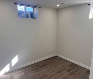 For Lease - 87 HITCHMAN Street Unit# Basement, Brant, Ontario - Photo 3